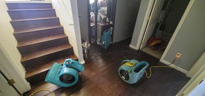 Residential Carpet Repair